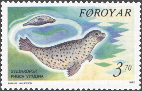 Harbor seal
